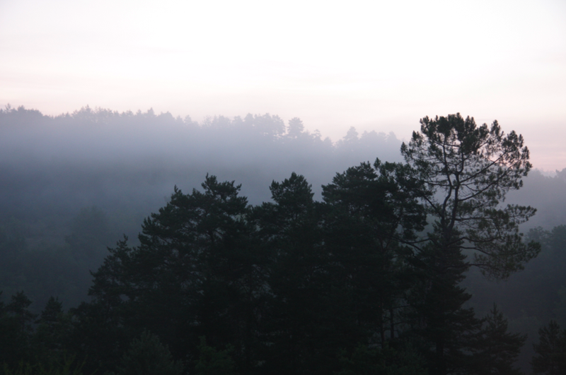 La-brume-auriac-du-perigord-2