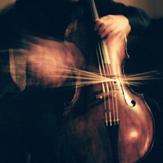 Violoncelle