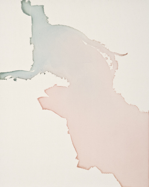 Landon-metz-still-i-2012-dye-and-canvas-30-x